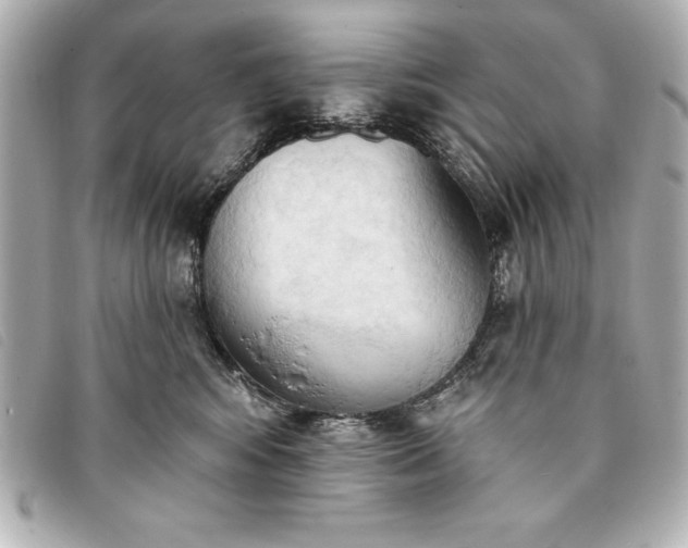 X0000093380424200710251221