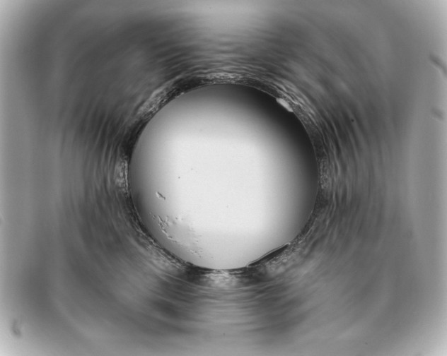 X0000093380425200710251221