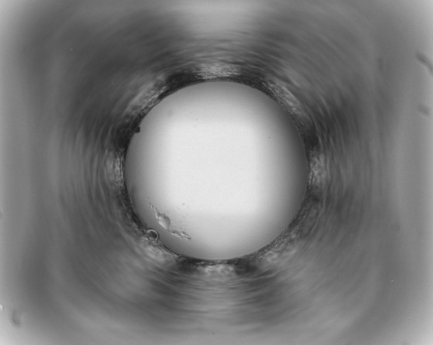 X0000093380426200710251221