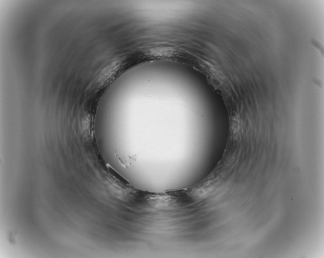 X0000093380428200710251221