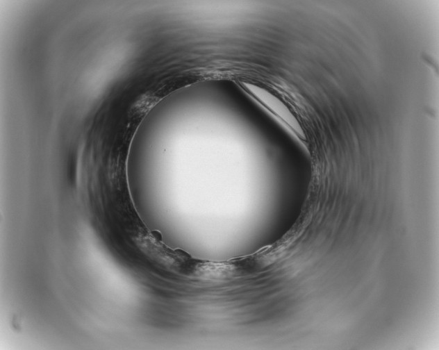 X0000093380429200710251221