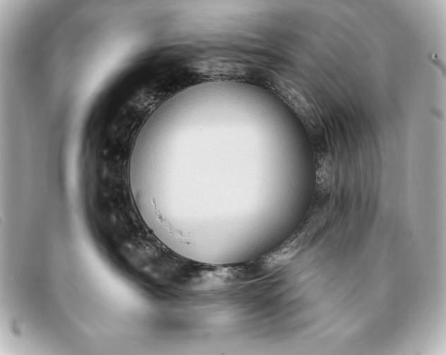 X0000093380430200710251221