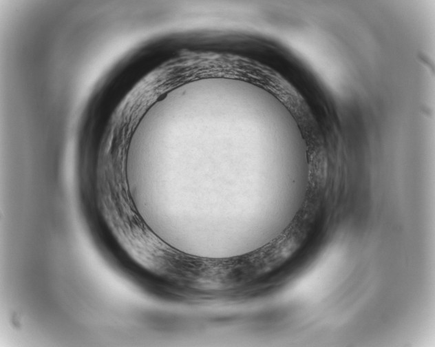 X0000093380431200710251221