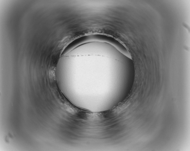 X0000093380432200710251221