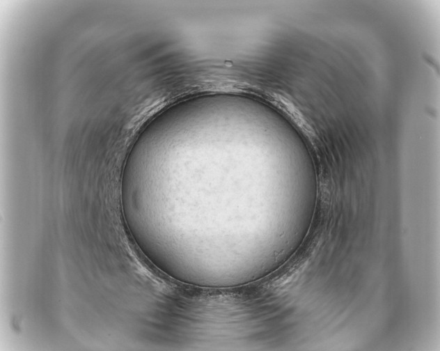 X0000093380433200710251220