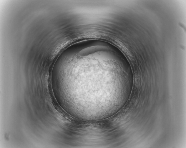 X0000093380434200710251220