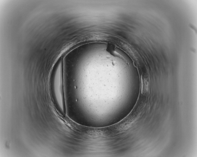 X0000093380435200710251220