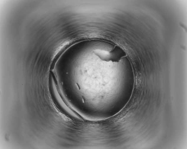 X0000093380438200710251220