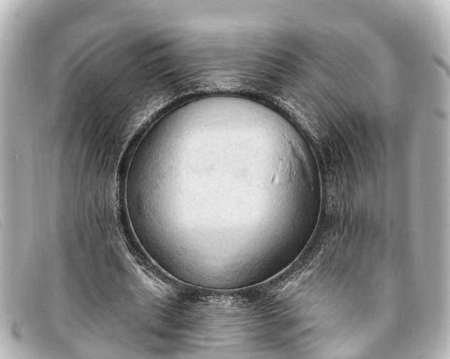 X0000093380439200710251220