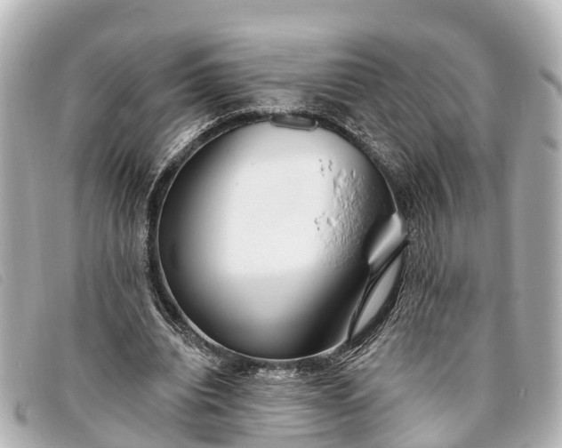 X0000093380440200710251220