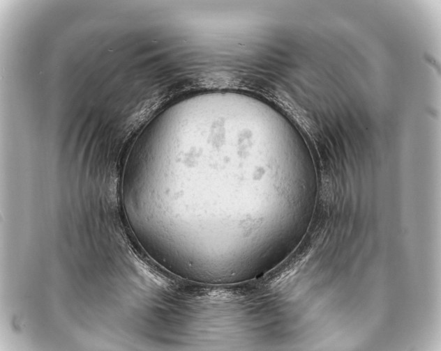 X0000093380441200710251220