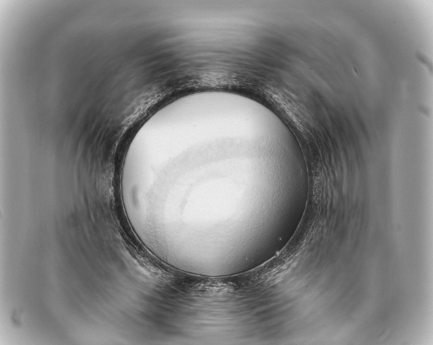 X0000093380443200710251220