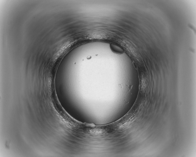 X0000093380444200710251220