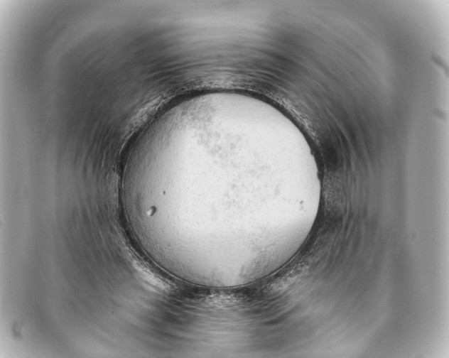 X0000093380445200710251220