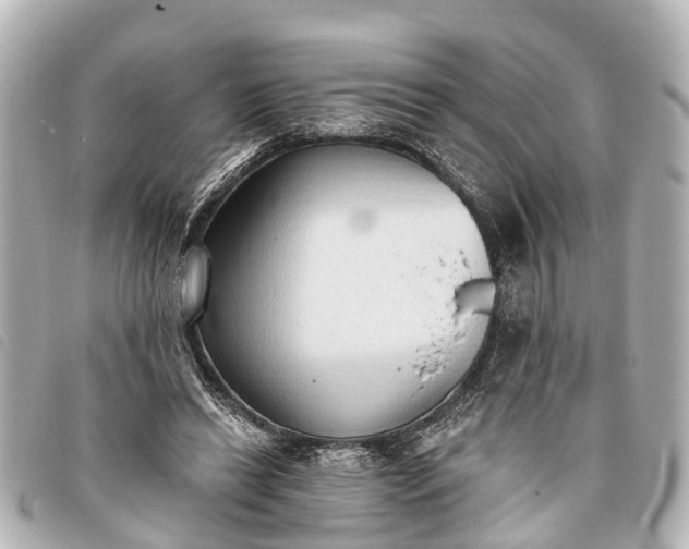 X0000093380446200710251220