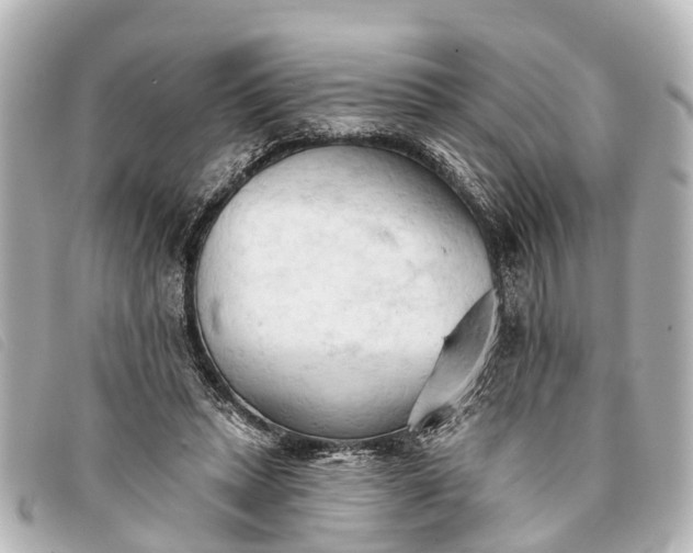 X0000093380447200710251220