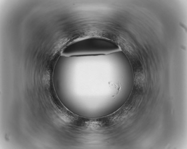 X0000093380448200710251220