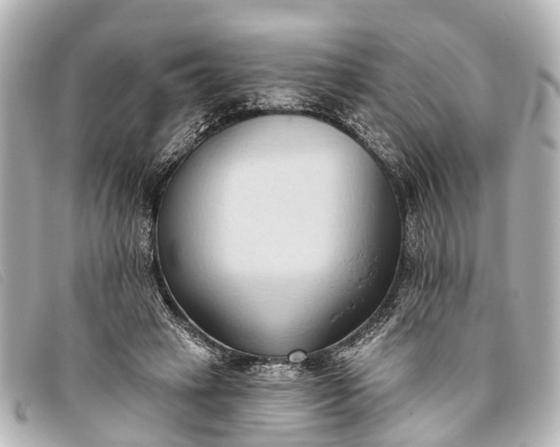 X0000093380449200710251220