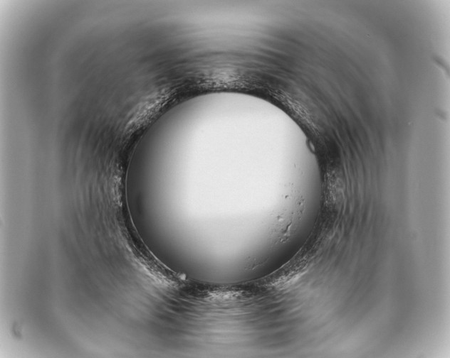 X0000093380450200710251220