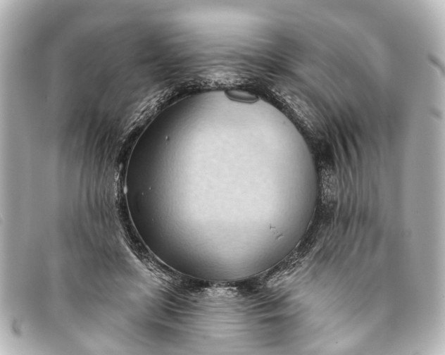 X0000093380451200710251220