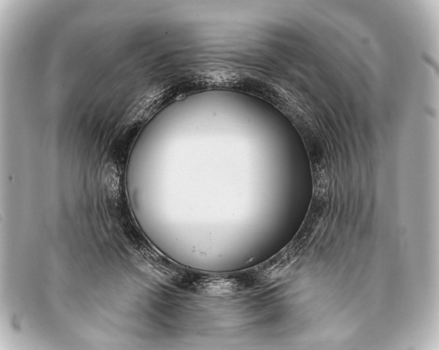 X0000093380456200710251221