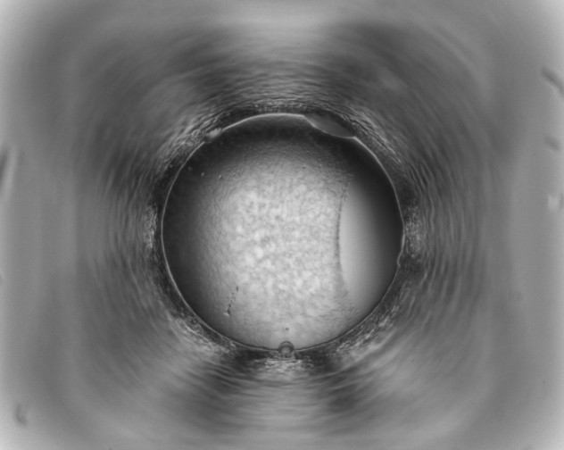 X0000093380458200710251221