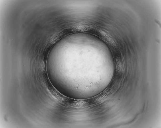 X0000093380459200710251221