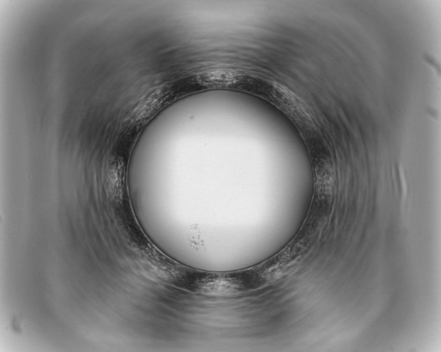 X0000093380460200710251221