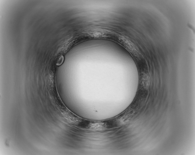 X0000093380461200710251221