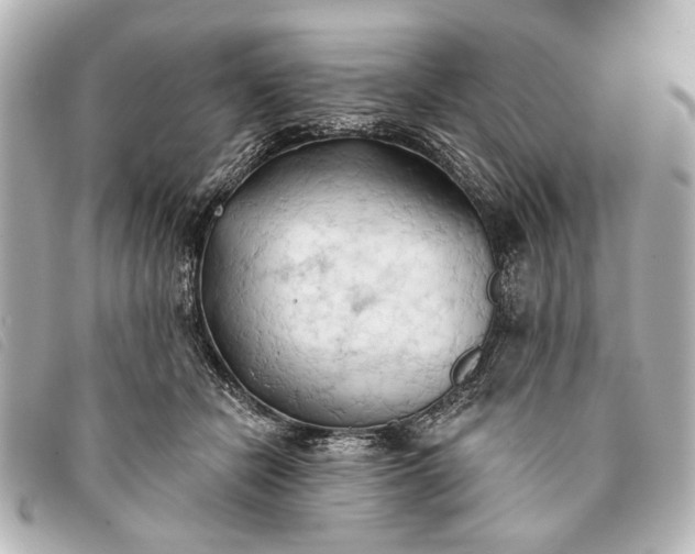 X0000093380462200710251221