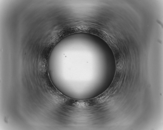 X0000093380464200710251221