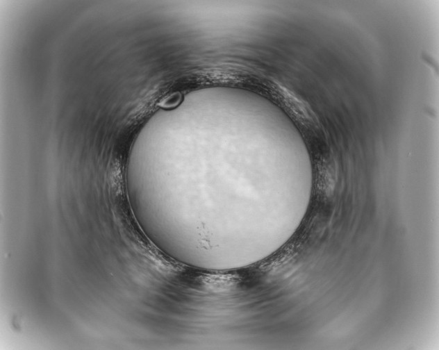 X0000093380465200710251221