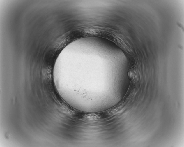 X0000093380466200710251221