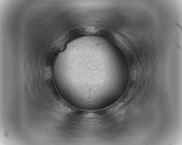 X0000093380467200710251221