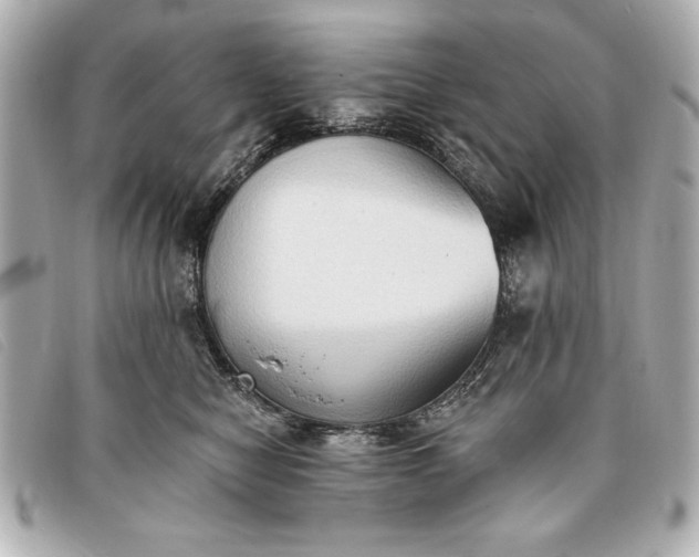 X0000093380470200710251221