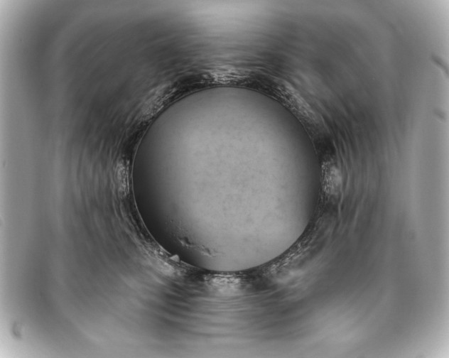 X0000093380471200710251221