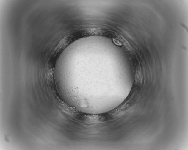 X0000093380473200710251221