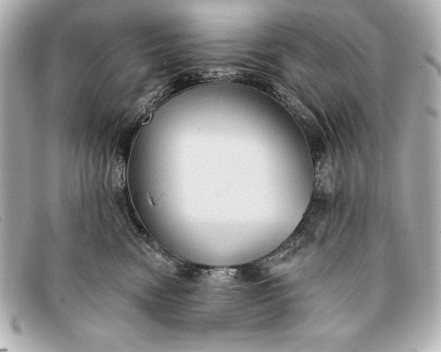 X0000093380474200710251221