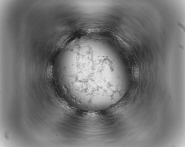 X0000093380475200710251221