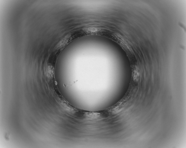 X0000093380476200710251221