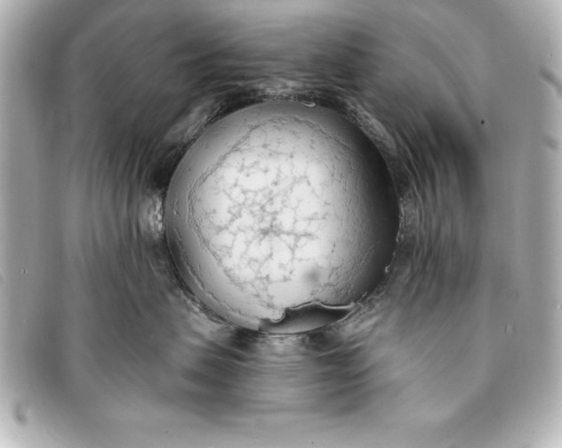 X0000093380479200710251221