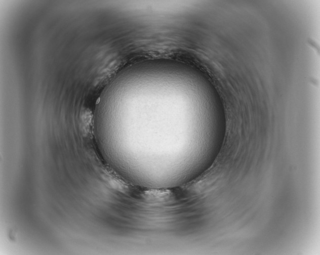 X0000093380480200710251221