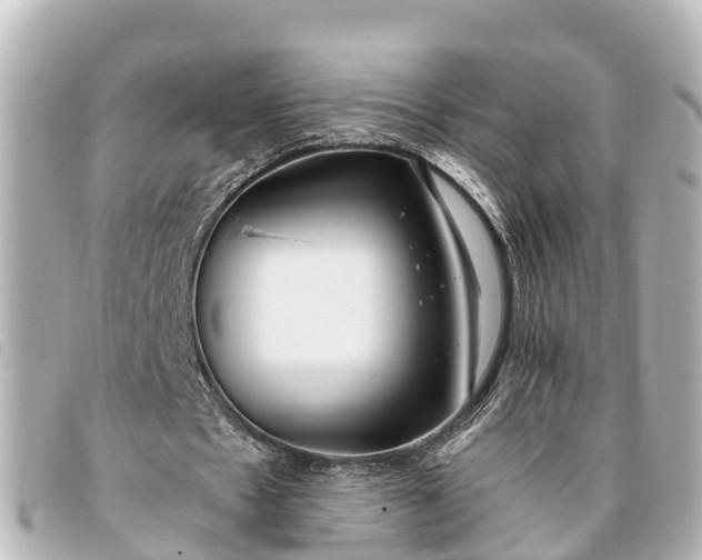 X0000093380481200710251220