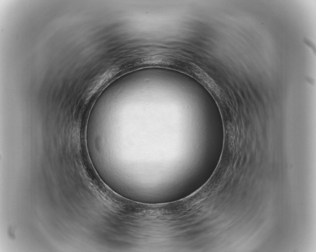 X0000093380482200710251220