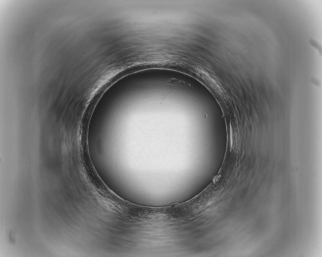 X0000093380483200710251220