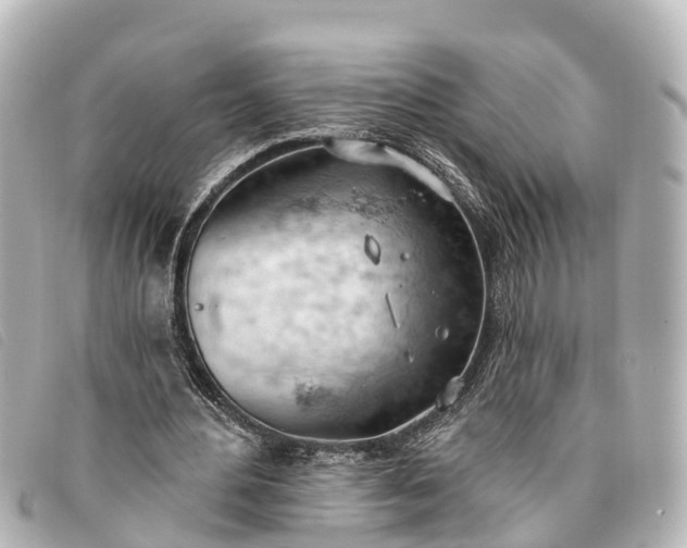 X0000093380484200710251220