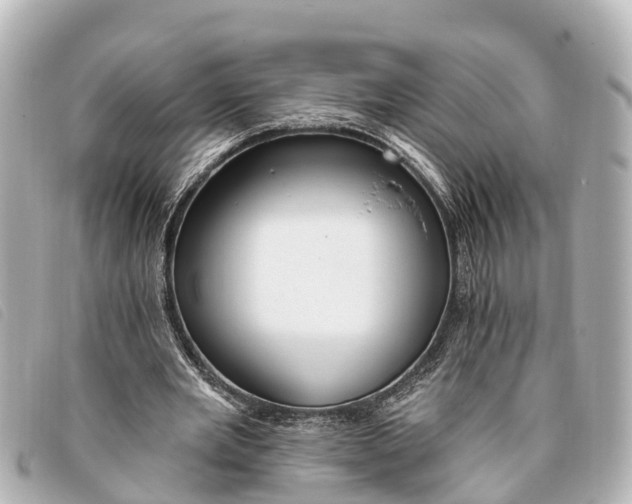 X0000093380485200710251220