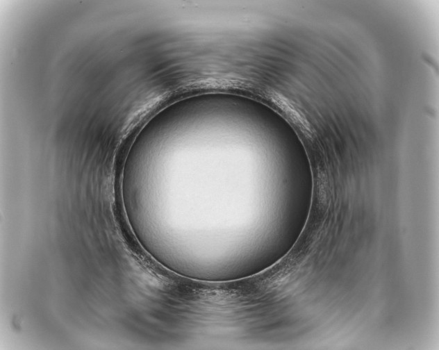 X0000093380486200710251220