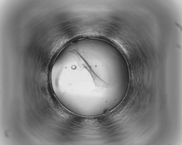 X0000093380487200710251220