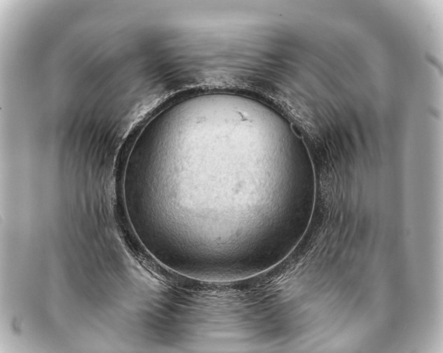 X0000093380488200710251220